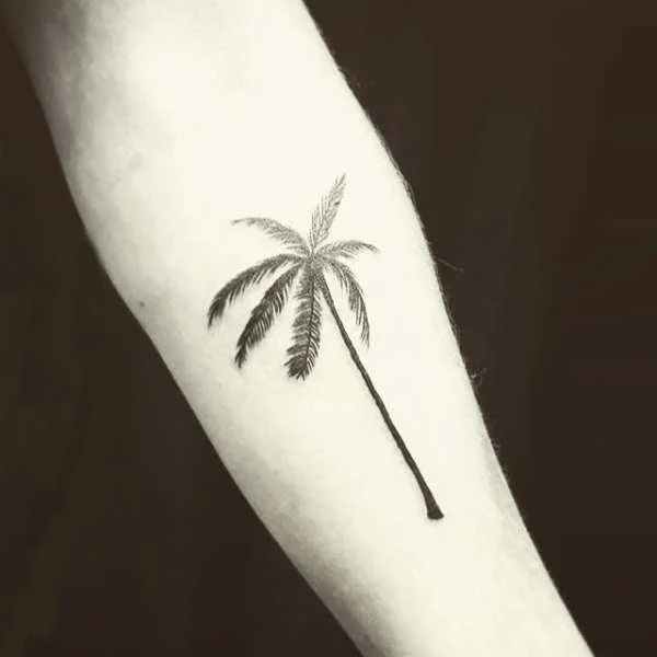 Tatuagem Temporária - Ilha da Tartaruga - Image 2