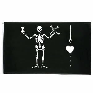 Bandeira Pirata - Famosos
