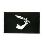 Bandeira Pirata - Thomas Tew