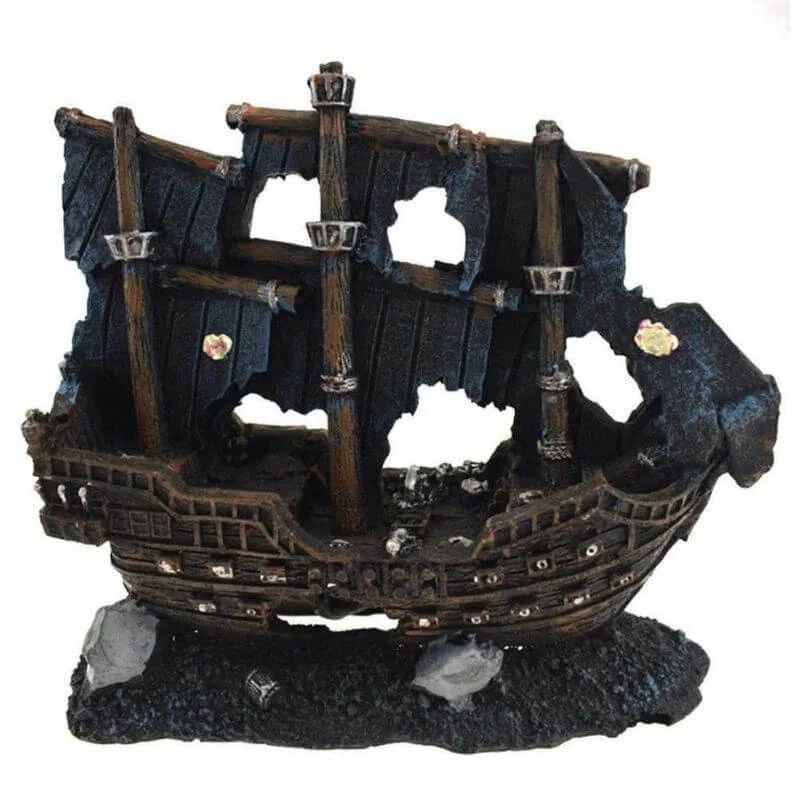 Barco Pirata Destroçado