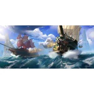 Quebra-cabeça PirataAdulto